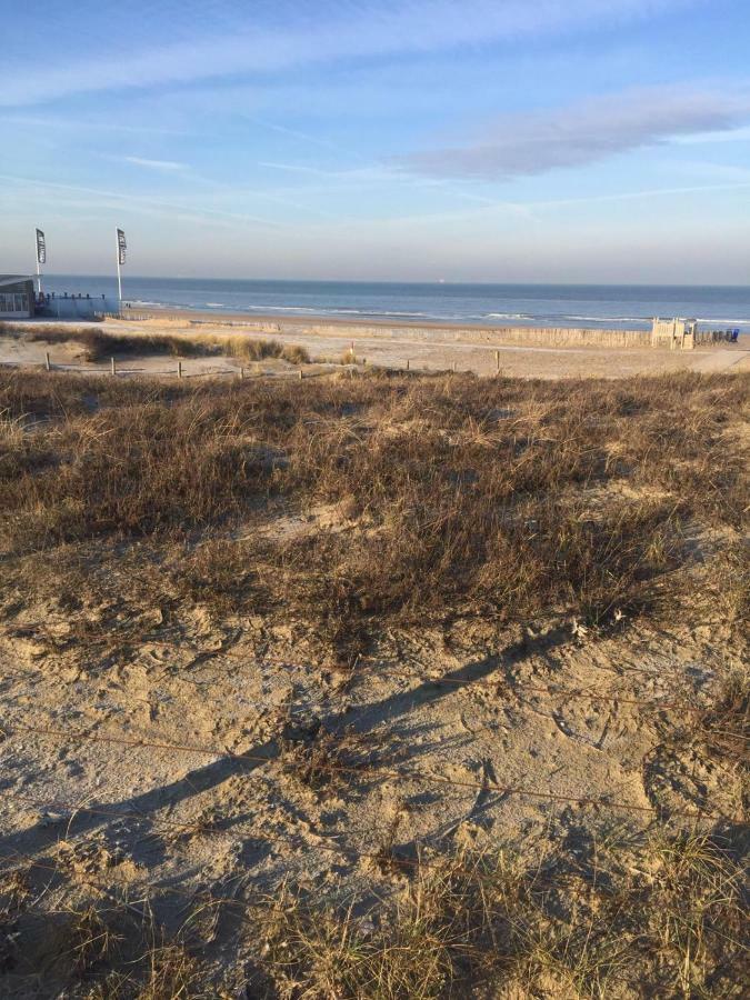 Апартаменты Slapen Aan Zee Катвейк-ан-Зе Экстерьер фото